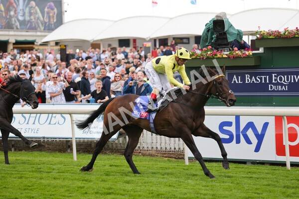 yr11062022r4-22 - Race 4 3.05pm Sky Bet Grand Cup