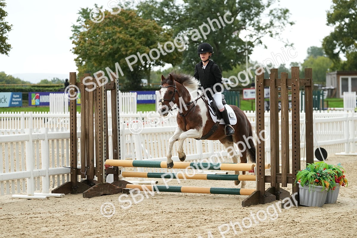SBM_33461 - J5 - Junior Pony 50cm Championship