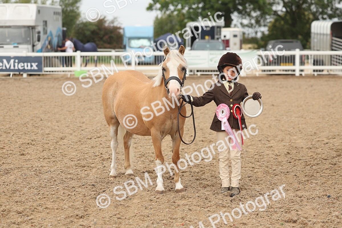 SBM_00613 - Class 13 Young Handler