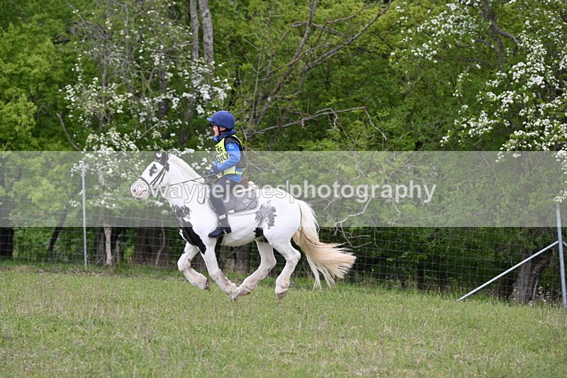 WJ6_1951 - Group 8 A&B Cameras