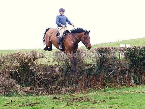 _MGN0622 - Summerhill Chase 2012