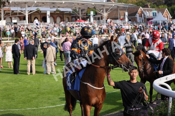 yr05092021r5-4 - Race 5 4.20pm Little Green Rascals Children's Nurseries Stakes