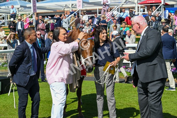 160525-Race 3-Kon Tiki-6591 - Race 3 3.13pm Sky Bet Fillies' Stakes