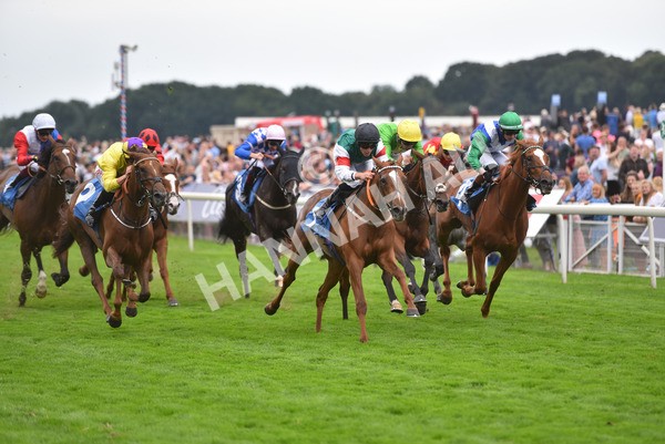 yr20082021r6-33 - Race 6 4.40pm Assured Data Protection British EBF Fillies' Stakes