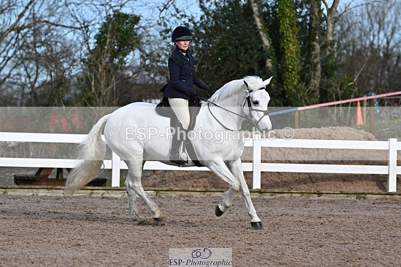 250125-112649-00359 - Dressage - CT Class 5 BE95 (90cm)