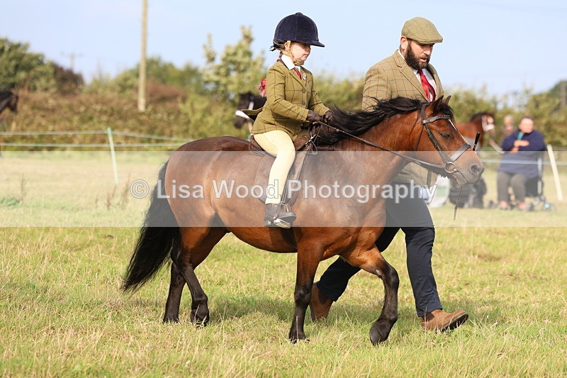3E7A3639 - Class 2: Lead rein