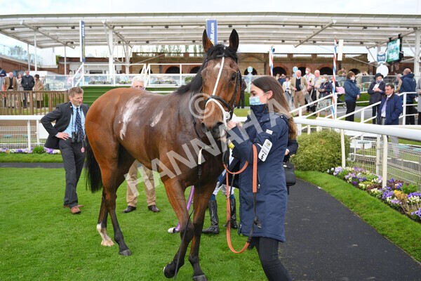 yr22052021r6-42 - Race 6 4.55pm Reg Bond