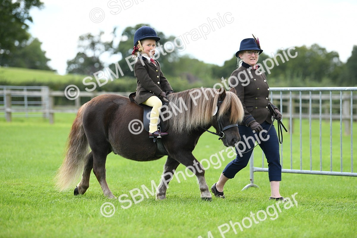 SBM_42400 - S20 - Lead Rein Mountain & Moorland Pony