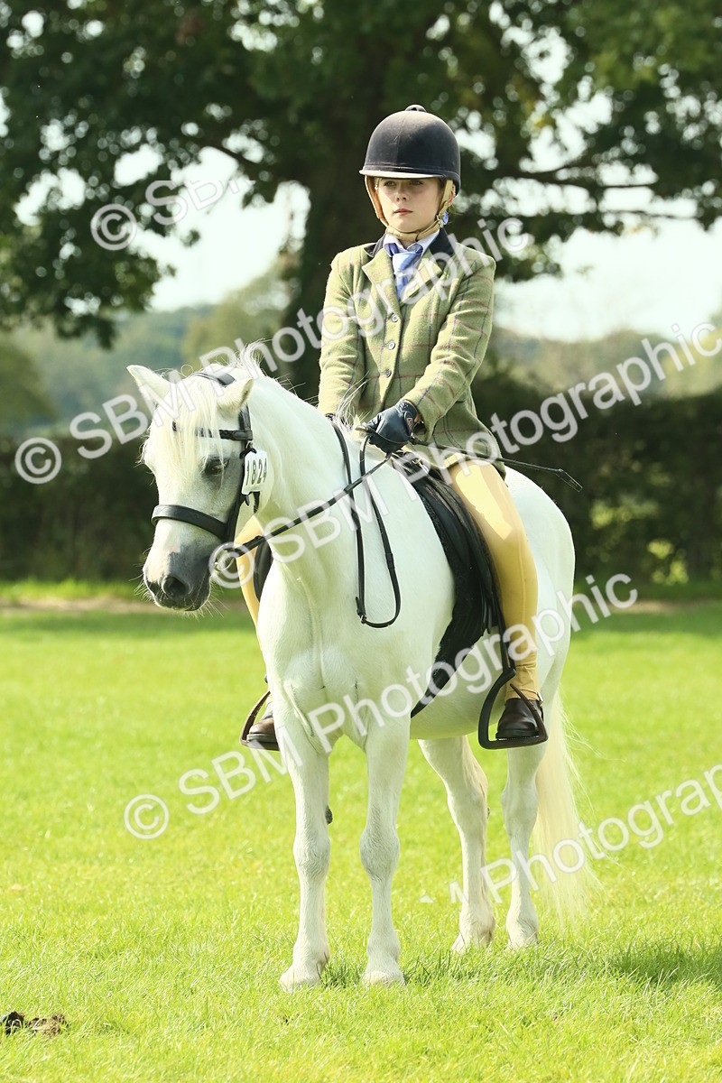 SBM_66685 - S34 - Rehabilitated Rescue Horse & Pony In Hand & Ridden