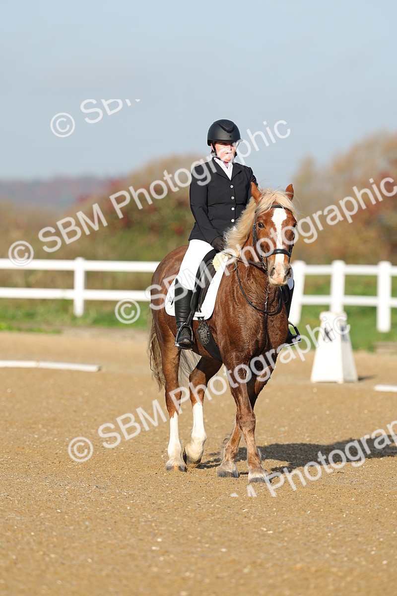 SBM_002941 - Class 1 - Intro 2