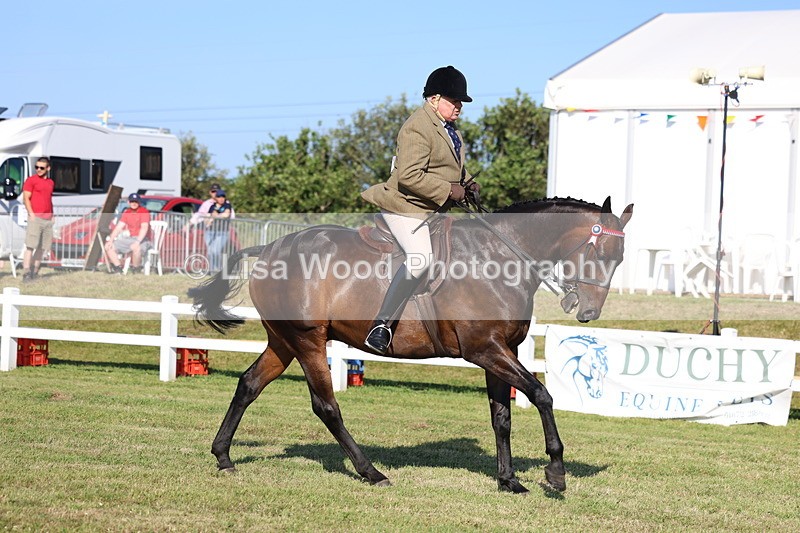 3E7A5335 - Class 2: Rising Star Large Hack/Riding Horse