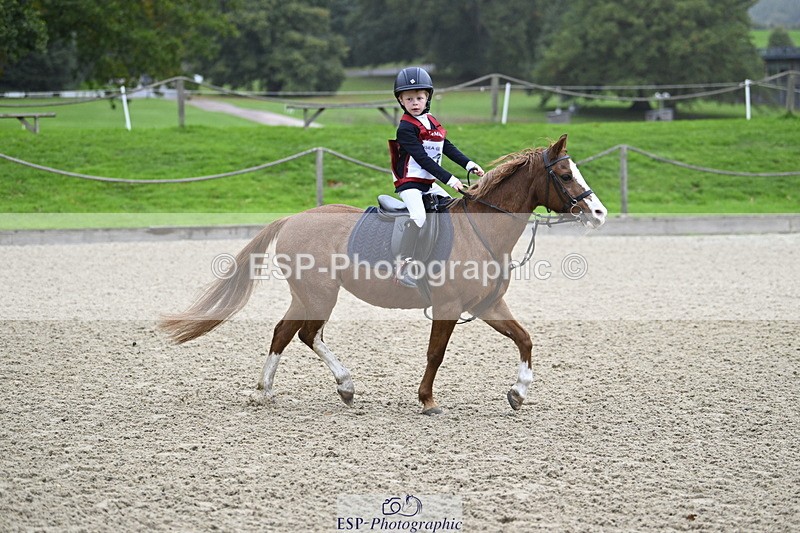 251005A-083253-02806 - Cls 01 GR 40cm