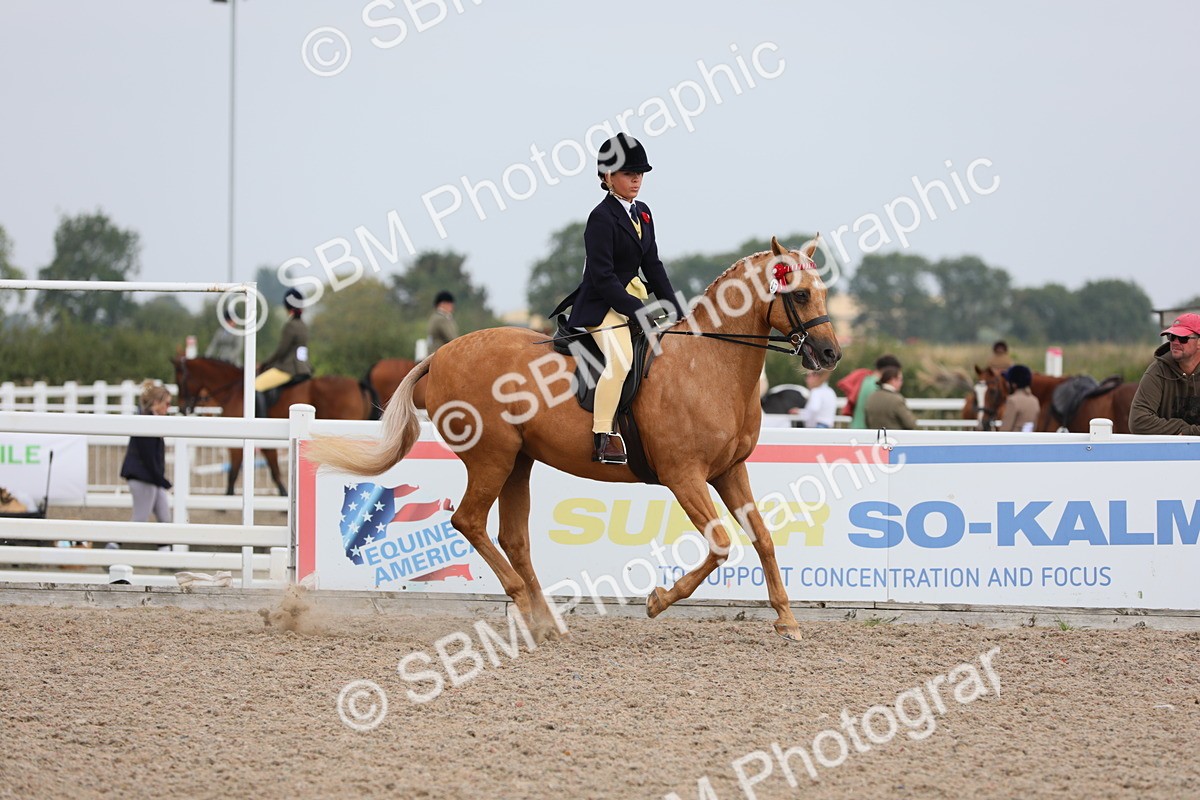 SBM_12737 - Class 307 Ridden Coloured Pony