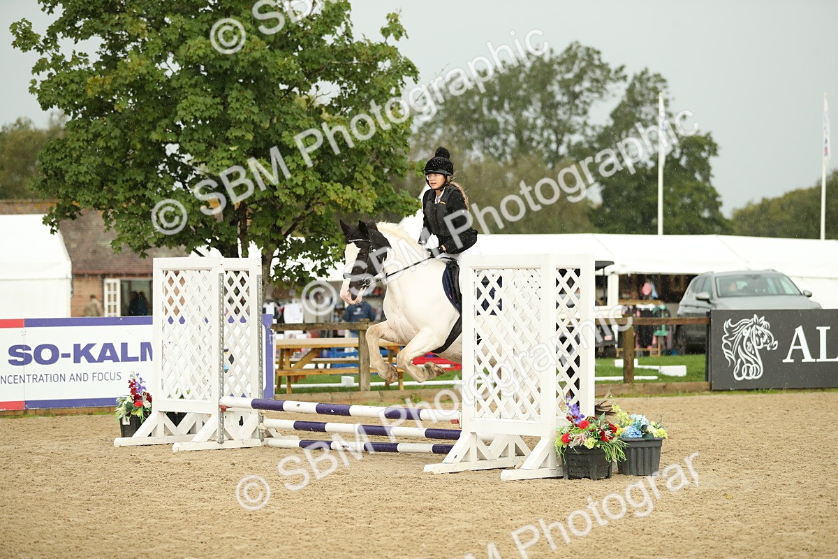 SBM_34276 - J60 Clear Round 50cm