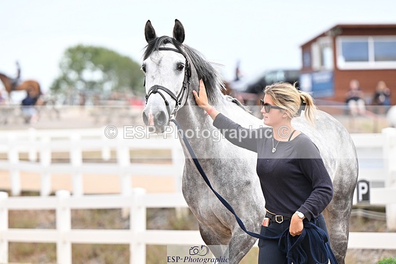 250716-155544-02294 - Trot Up 3.30 to 4.30