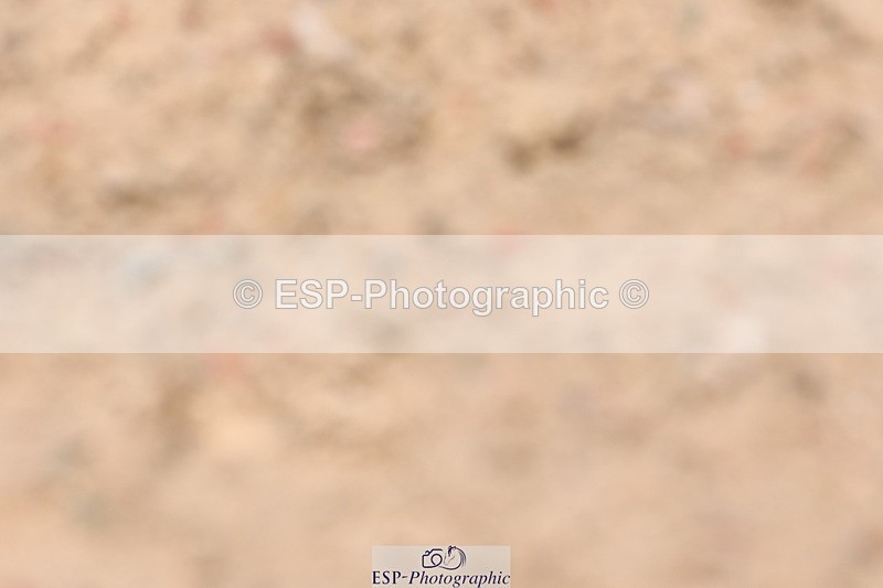 240706A-124141-01957 - Cls 2C Snr Prelim 14