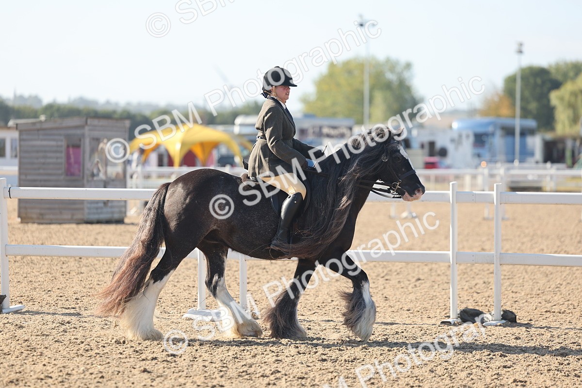 SBM_22204 - Class 802 - Ridden Groom Helpers Class