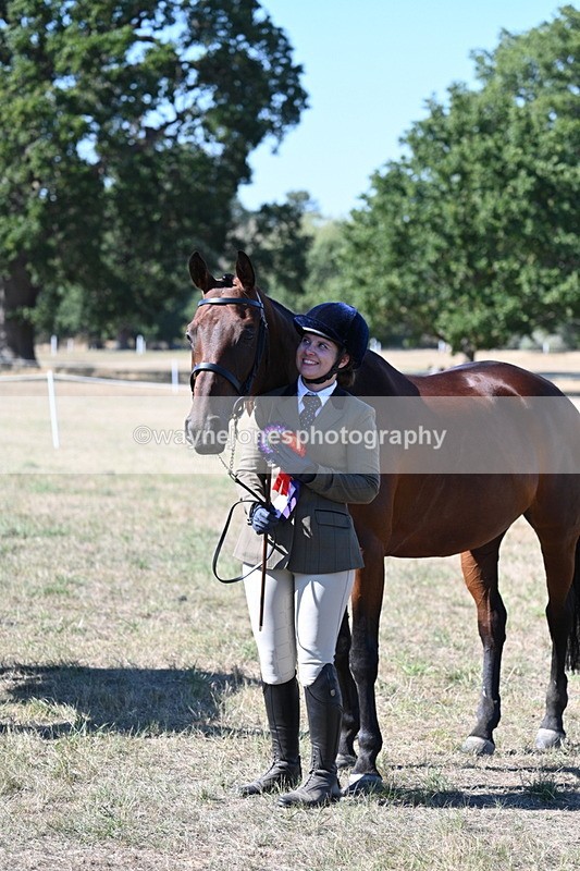 WJ7_1941 - Class 43 Best Six Legs (In hand)