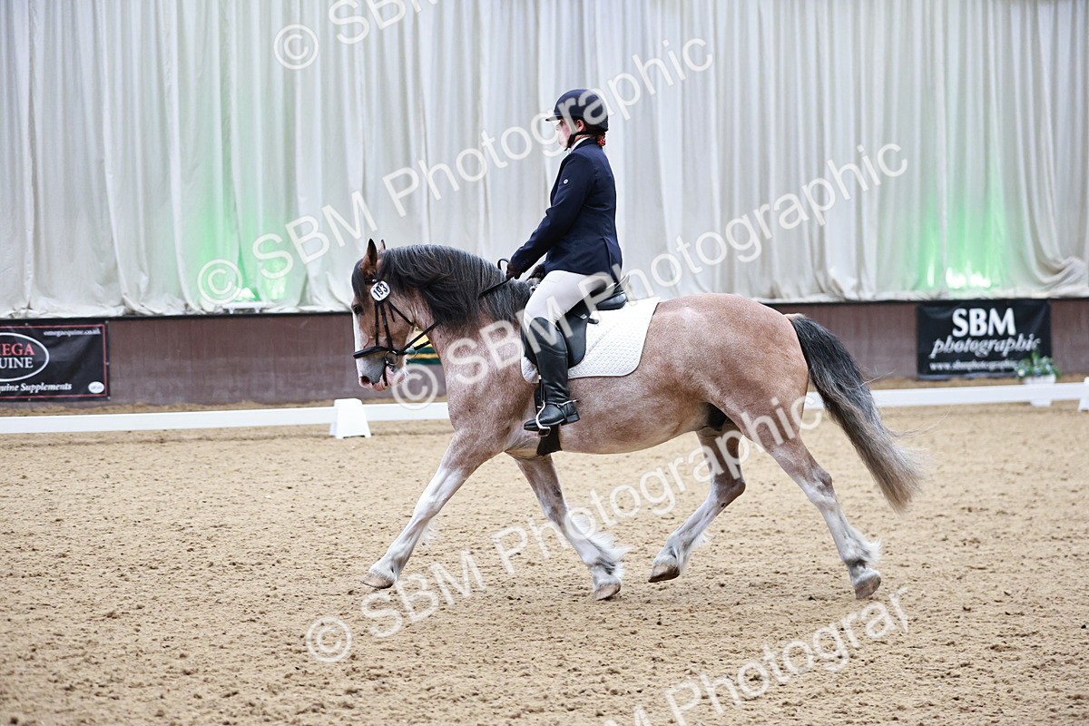 SBM_014227 - Class 7 - Ele FSM Bronze 12.12.13.08