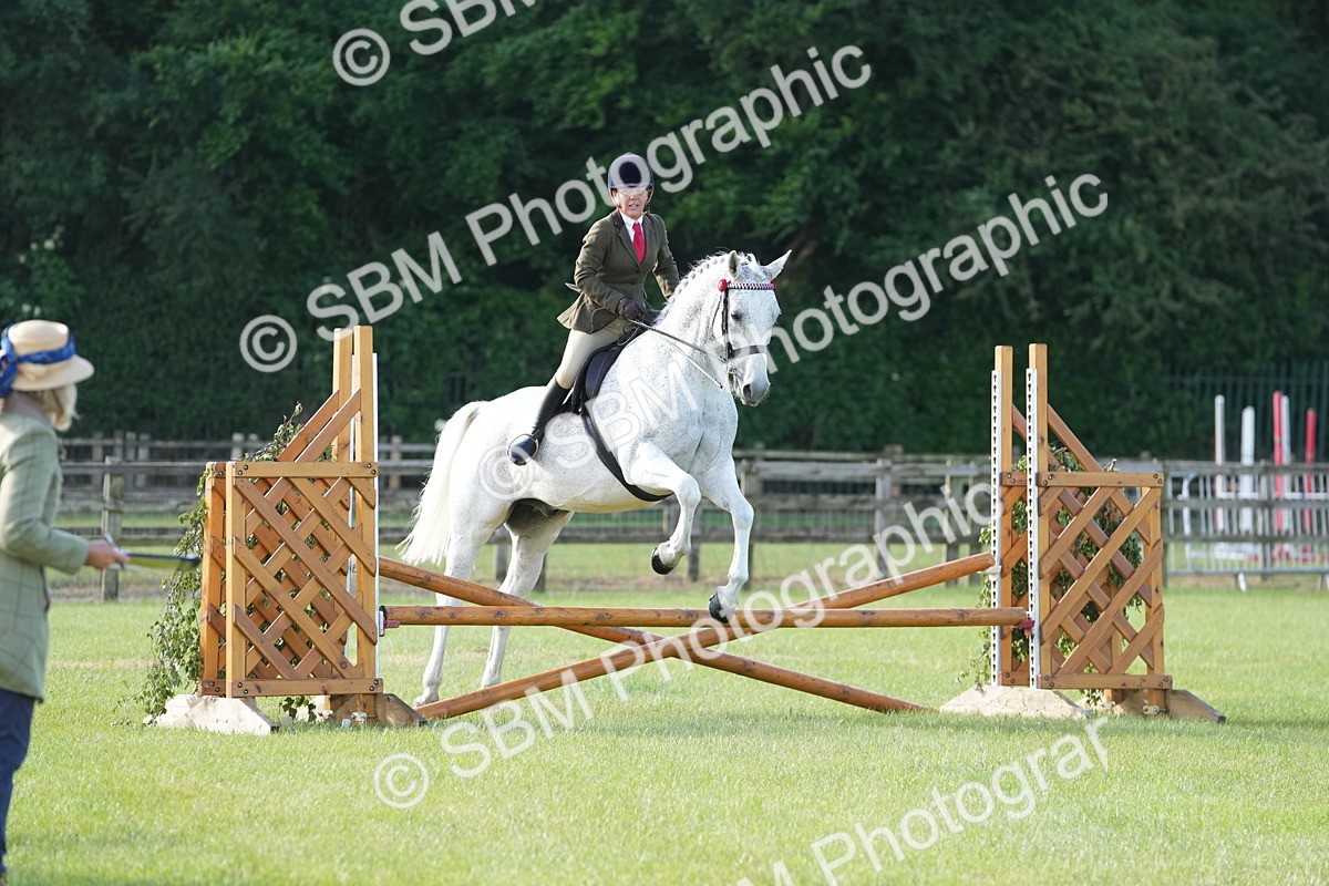 SBM_10484 - Class 97-98 - LIHS BSHA Rising Star Working Show Horse Hunter