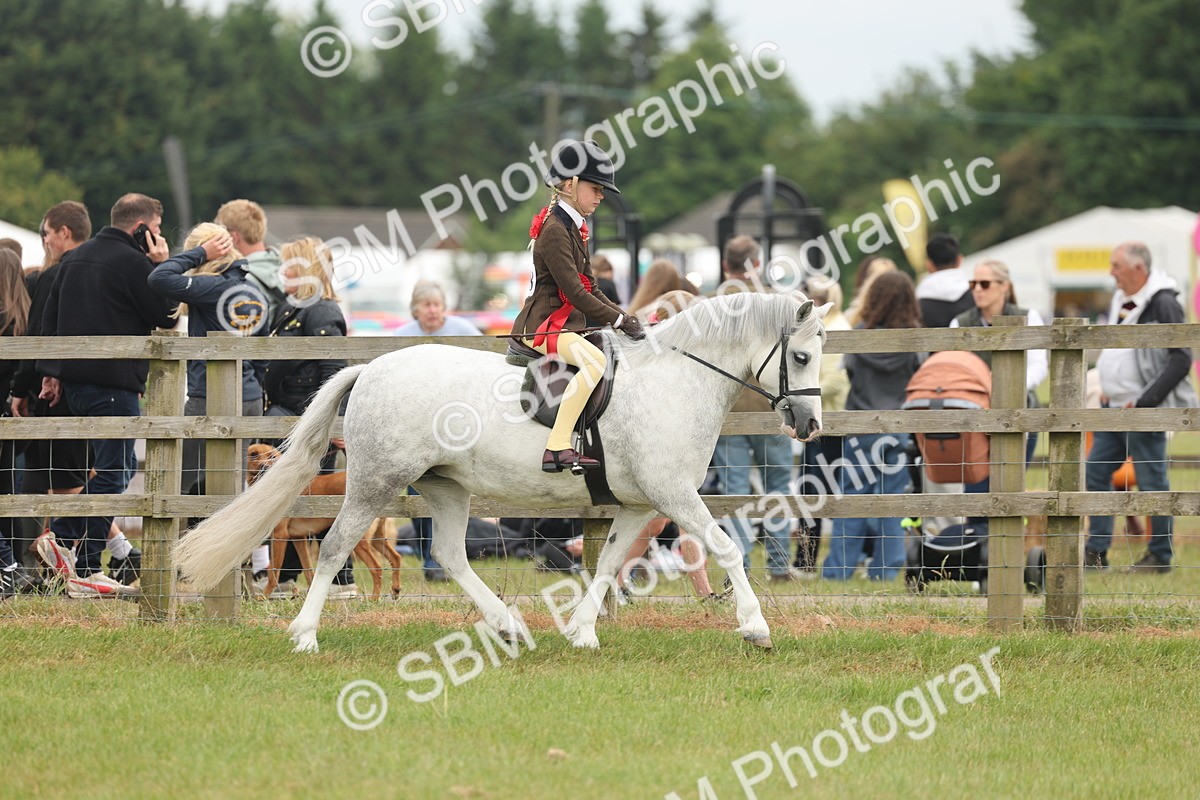 SBM_06923 - Class 74-75 - M&M Lead Rein and First Ridden Pony