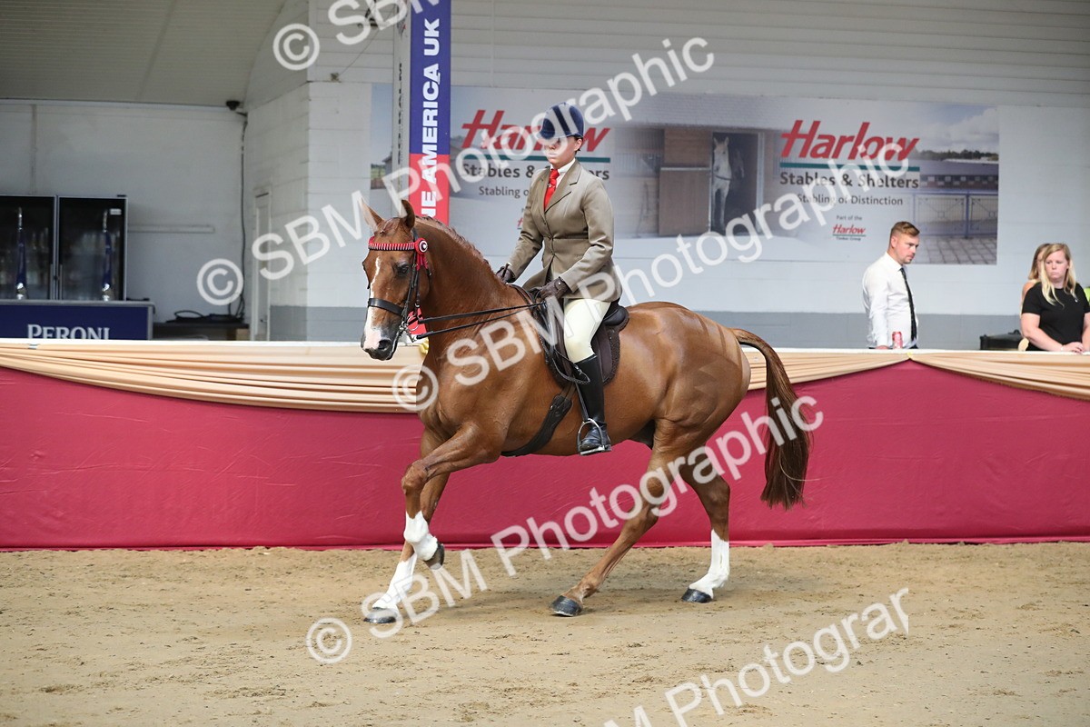 SBM_02078 - Class 5a Area Ridden Veterans