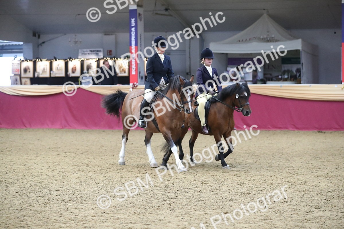 SBM_13692 - Class 109 Ridden Pairs - Section B