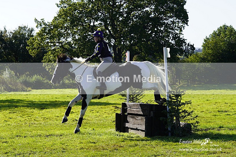  WWHT 031021 636 - WWEC Novice Restricted (0.80m) 18/10/20