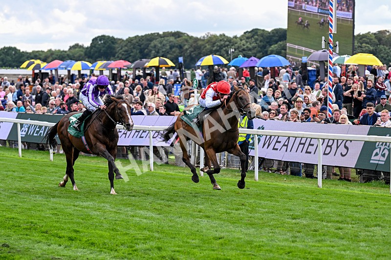 210826-Race 2-Al Nayyir-5400 - Race 2 14.25pm Weatherbys Lonsdale Cup Stakes