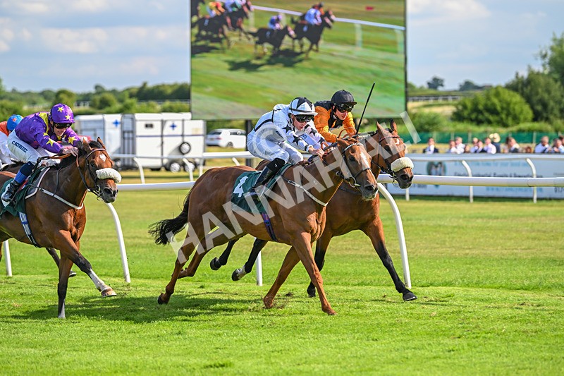 160725-Race 6-Bellarchi-9426 - Race 6