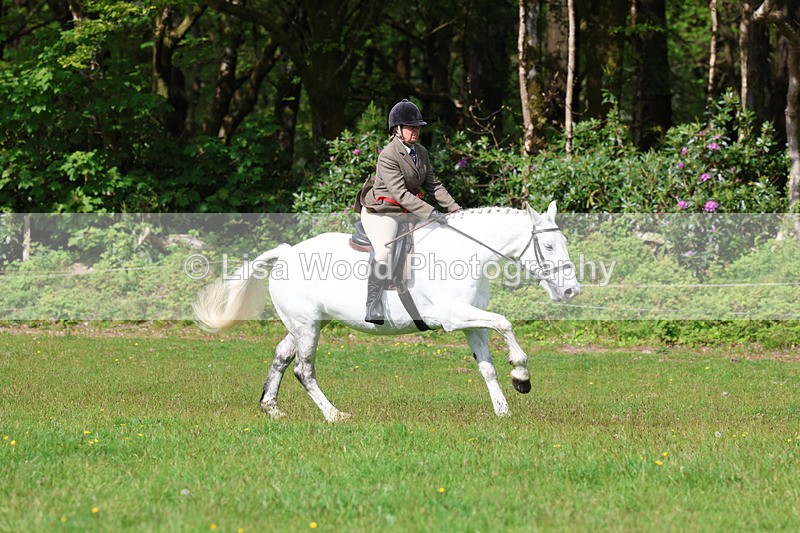 3E7A2672 - Working Hunter Championship