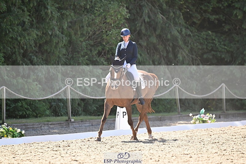 260731A-112338-00334 - Elementary Bronze 10.30 - Break