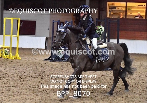 BPP_8070 - CLASS 1  Club/ Unaffiliated 60cms Open