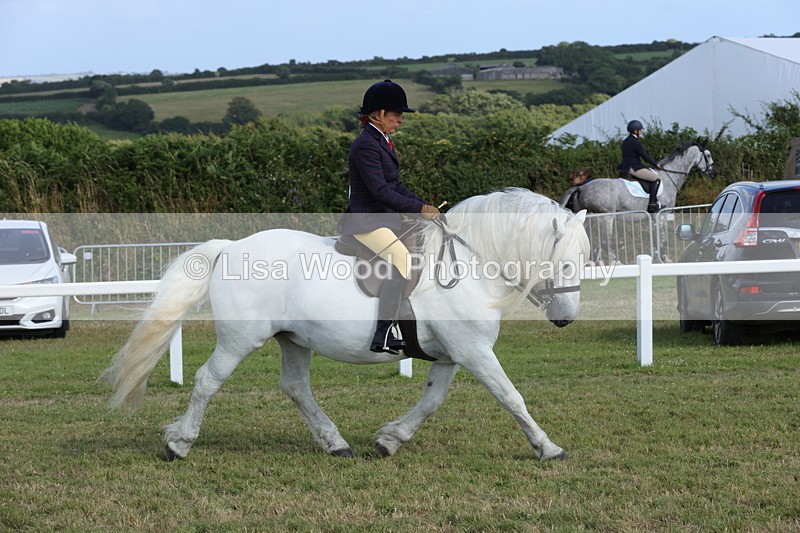 1X9A5962 - Class 42: NPS Dales, Fell, Highland