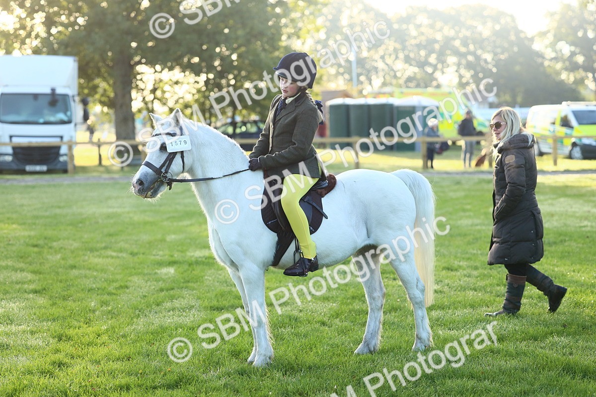 SBM_31759 - S28 - Nursery Stakes Working Hunter Pony