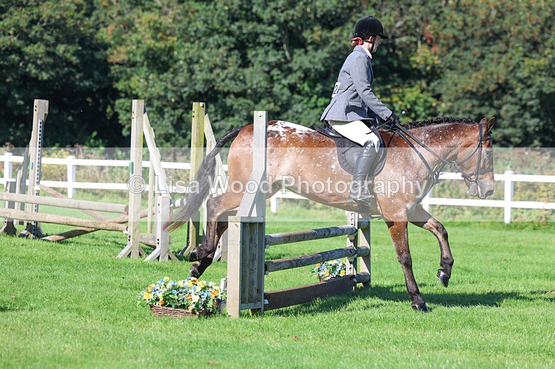 3E7A7799 - Class 2: Open Working Hunter pony