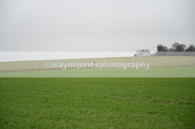 WJ7_9724 - Walk out..