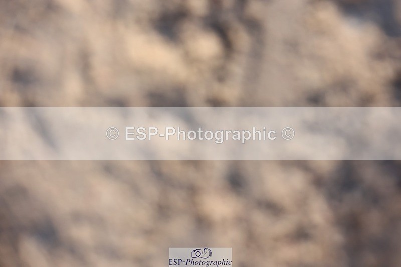 241201X-114112-00924 - Classes 06-09 Jnr 110-115-120-125