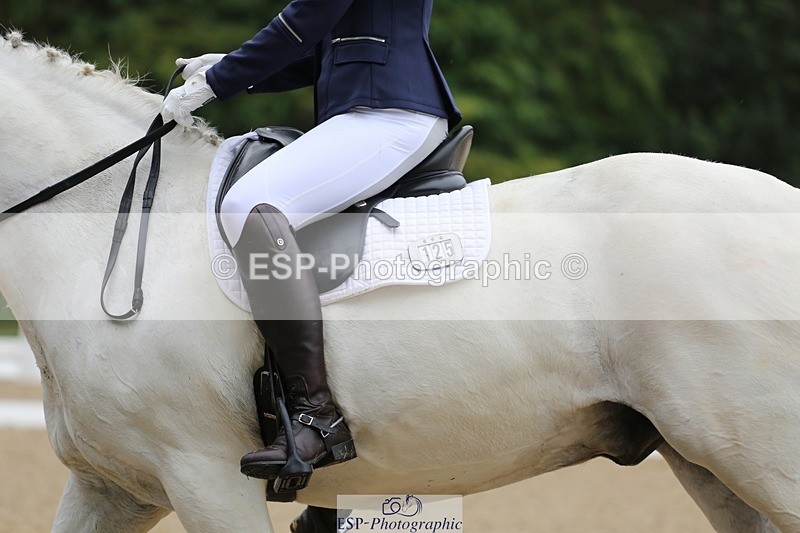 240720-101344-03889 - 125-Sarah_Browne-Domino_Star