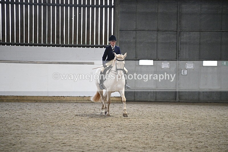 WJ7_3636 - Class 16 Ridden Coloured/ Odd Coloured