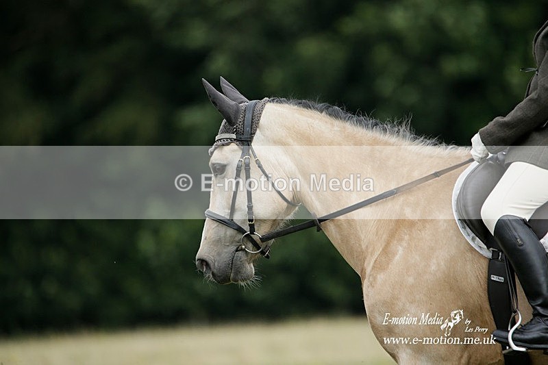 BVRC 030721 327 - Bourne Valley Riding Club Dressage 03/07/21