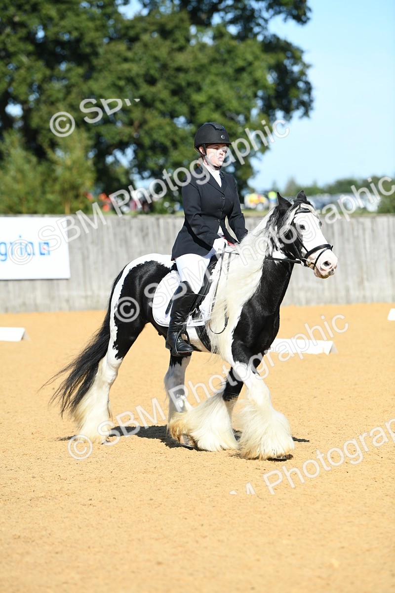 SBM_18055 - D4 - Small Tour Championship - Intro B