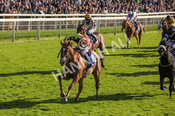 141023-Race 3-Montassib-0414 - Race 3 2.25pm Coral Sprint Trophy Handicap