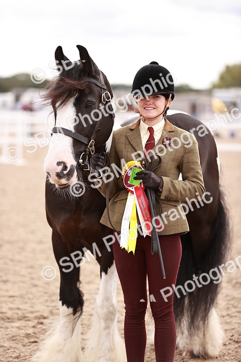 SBM_18508 - Class 420 - Ridden M&M