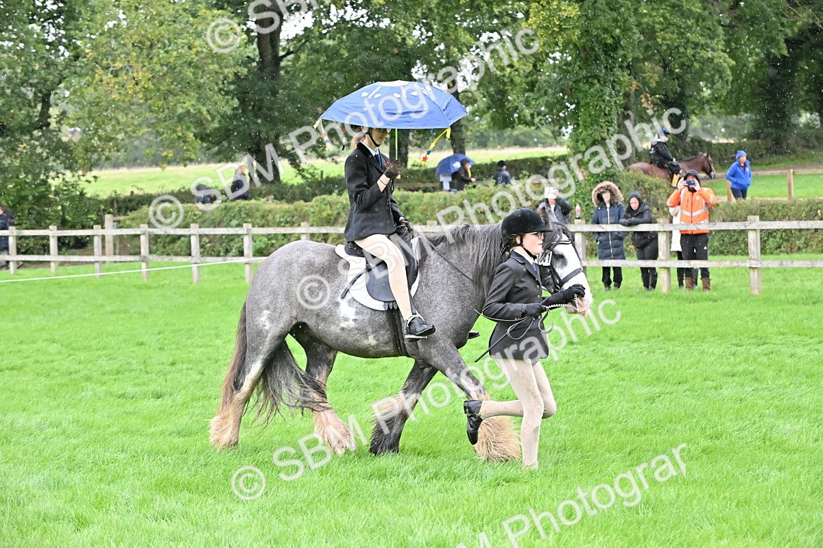 SBM_42987 - S12 - Family Horse & Pony