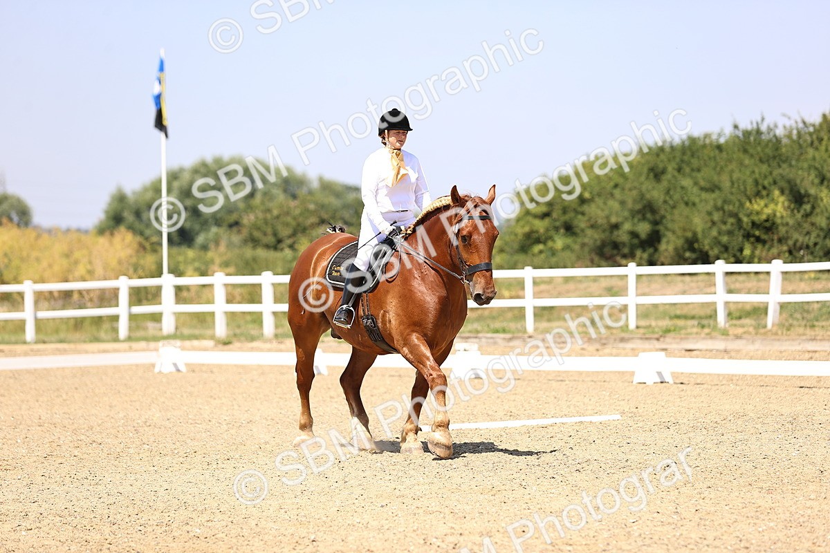 SBM_004125 - Intro 2