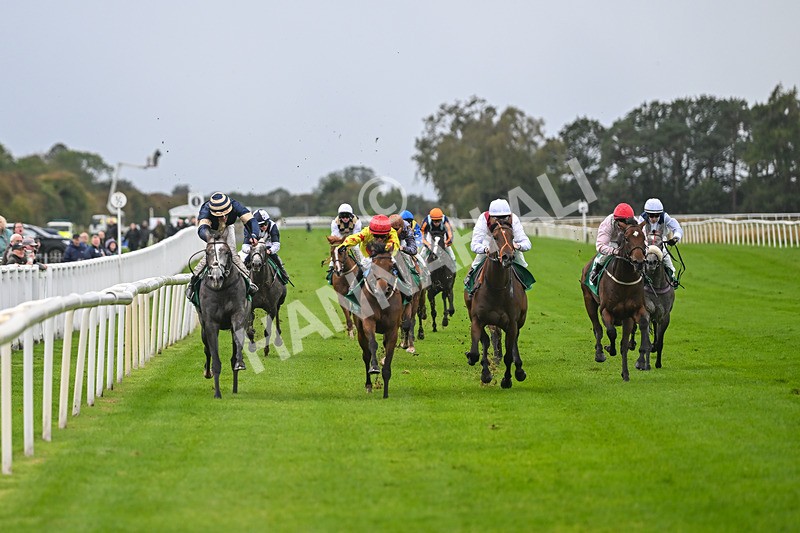 150925-Race 2-Rum Therapy-2362 - Race 2