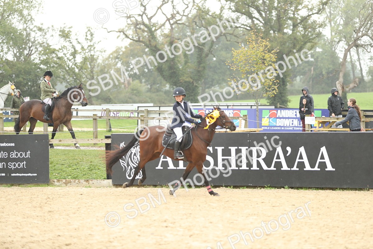 SBM_70548 - J15 - Junior Pony 70cm Championship