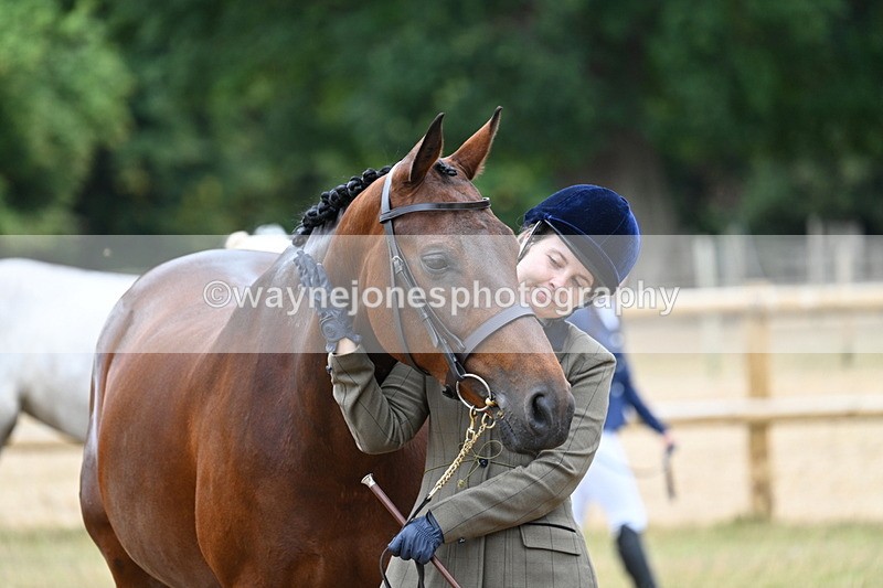 WJ7_9230 - Class 4a Prettiest Mare 14.2hh and over