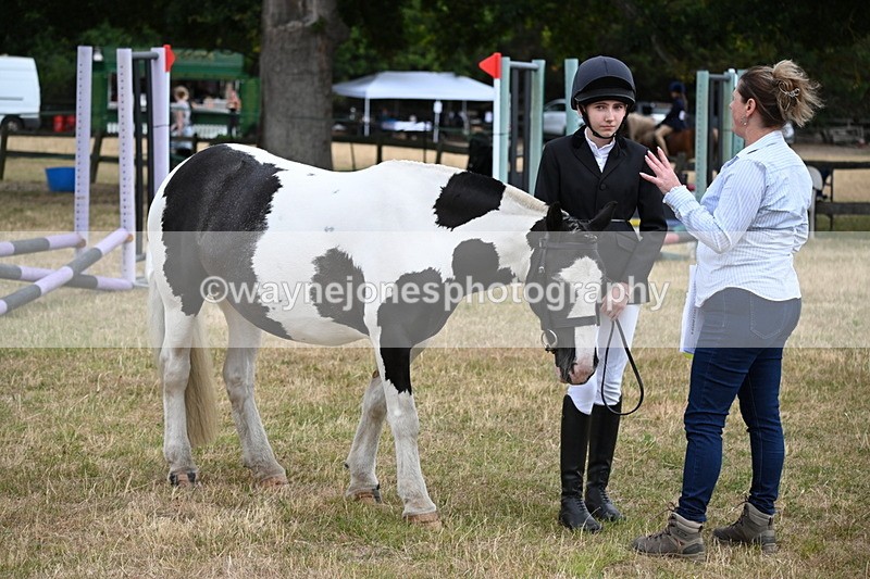 WJ6_4201 - Class 10 Coloured In-hand